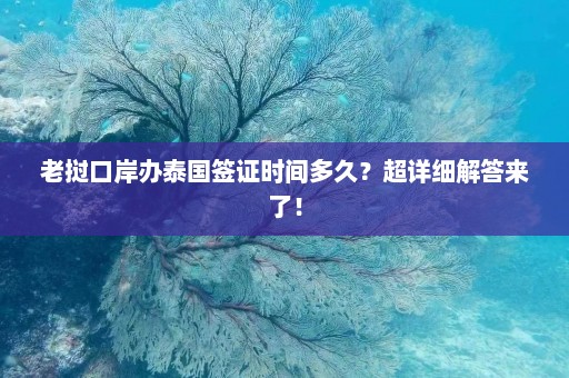 老挝口岸办泰国签证时间多久？超详细解答来了！