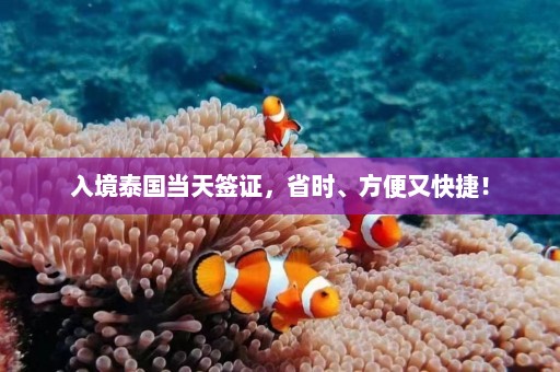 入境泰国当天签证，省时、方便又快捷！