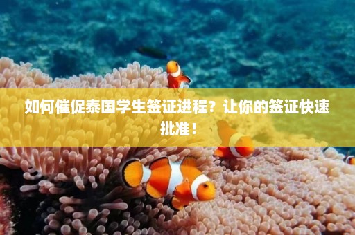 如何催促泰国学生签证进程？让你的签证快速批准！