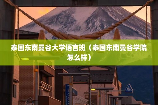 泰国东南曼谷大学语言班（泰国东南曼谷学院怎么样）