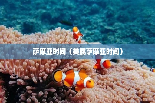 萨摩亚时间（美属萨摩亚时间）