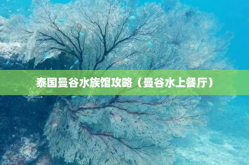 泰国曼谷水族馆攻略（曼谷水上餐厅）