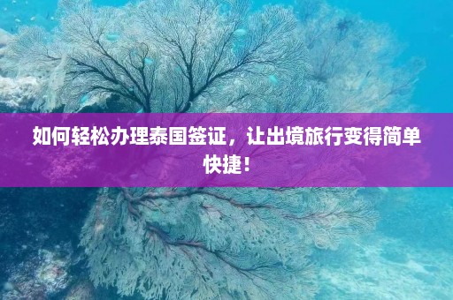 如何轻松办理泰国签证，让出境旅行变得简单快捷！