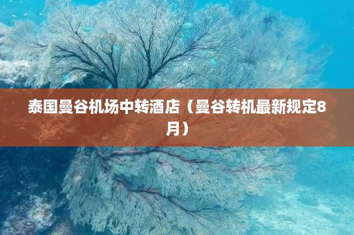 泰国曼谷机场中转酒店（曼谷转机最新规定8月）