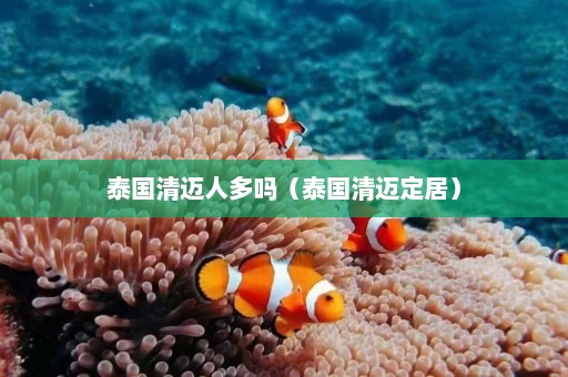 泰国清迈人多吗（泰国清迈定居）