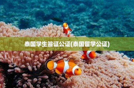 泰国学生签证公证(泰国留学公证)