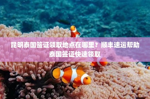 昆明泰国签证领取地点在哪里？顺丰速运帮助泰国签证快速领取