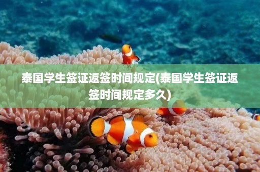 泰国学生签证返签时间规定(泰国学生签证返签时间规定多久)