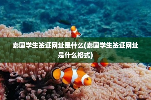 泰国学生签证网址是什么(泰国学生签证网址是什么格式)