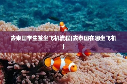 去泰国学生签坐飞机流程(去泰国在哪坐飞机)