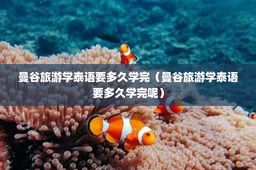 曼谷旅游学泰语要多久学完（曼谷旅游学泰语要多久学完呢）