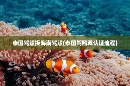 泰国驾照换海南驾照(泰国驾照双认证流程)