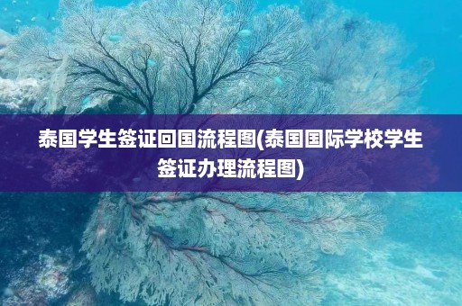 泰国学生签证回国流程图(泰国国际学校学生签证办理流程图)