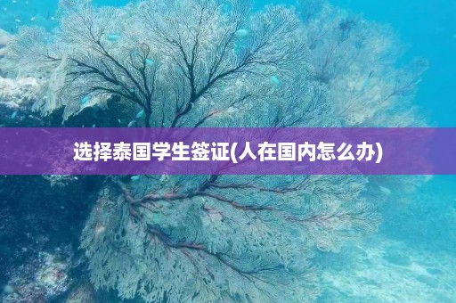 选择泰国学生签证(人在国内怎么办)