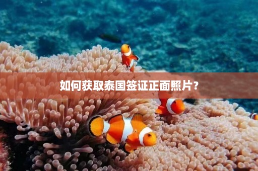 如何获取泰国签证正面照片？