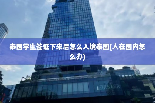 泰国学生签证下来后怎么入境泰国(人在国内怎么办)  第1张