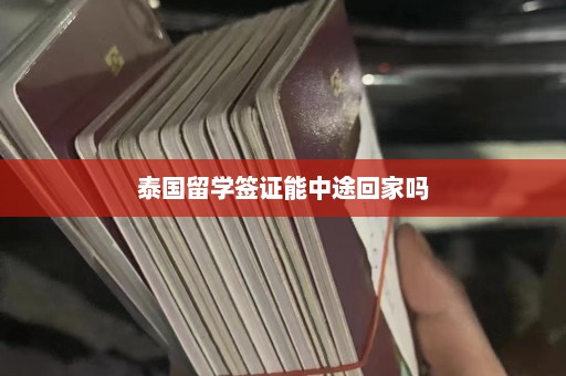 泰国留学签证能中途回家吗