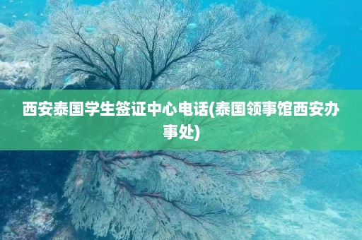 西安泰国学生签证中心电话(泰国领事馆西安办事处)