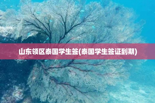 山东领区泰国学生签(泰国学生签证到期)