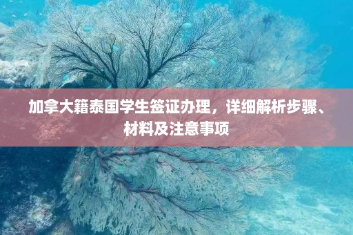 加拿大籍泰国学生签证办理，详细解析步骤、材料及注意事项