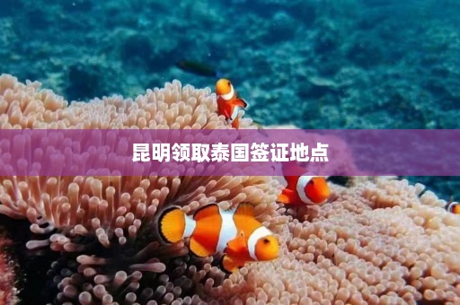 昆明领取泰国签证地点