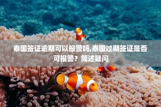 泰国签证逾期可以报警吗,泰国过期签证是否可报警？简述疑问