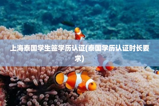 上海泰国学生签学历认证(泰国学历认证时长要求)