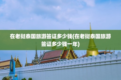 在老挝泰国旅游签证多少钱(在老挝泰国旅游签证多少钱一年)  第1张