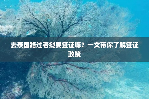 去泰国路过老挝要签证嘛？一文带你了解签证政策