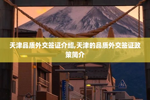 天津品质外交签证介绍,天津的品质外交签证政策简介