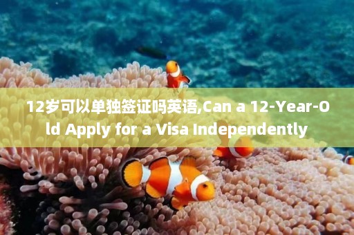 12岁可以单独签证吗英语,Can a 12-Year-Old Apply for a Visa Independently