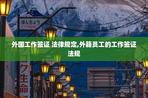 外国工作签证 法律规定,外籍员工的工作签证法规