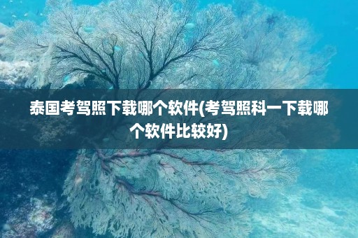 泰国考驾照下载哪个软件(考驾照科一下载哪个软件比较好)