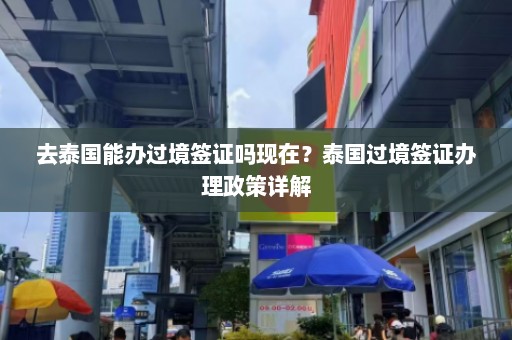 去泰国能办过境签证吗现在？泰国过境签证办理政策详解  第1张