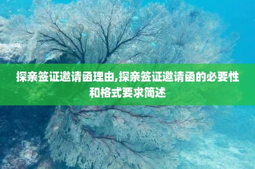 探亲签证邀请函理由,探亲签证邀请函的必要性和格式要求简述