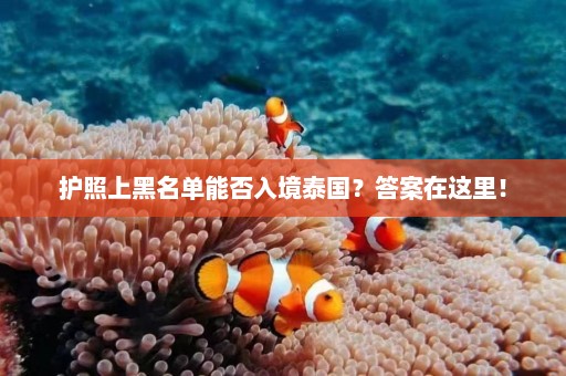 护照上黑名单能否入境泰国？答案在这里！