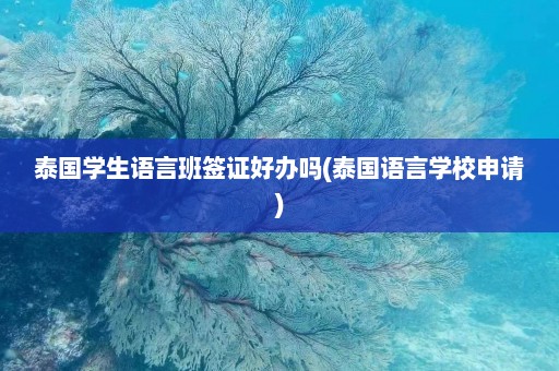 泰国学生语言班签证好办吗(泰国语言学校申请)