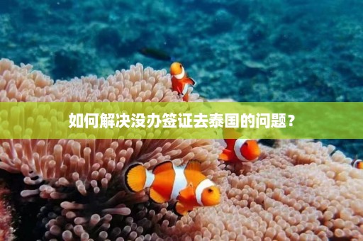 如何解决没办签证去泰国的问题？