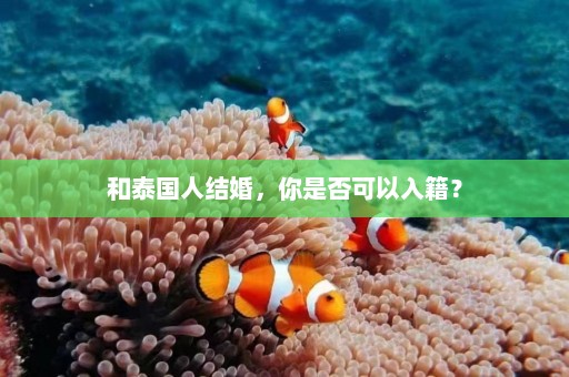 和泰国人结婚，你是否可以入籍？