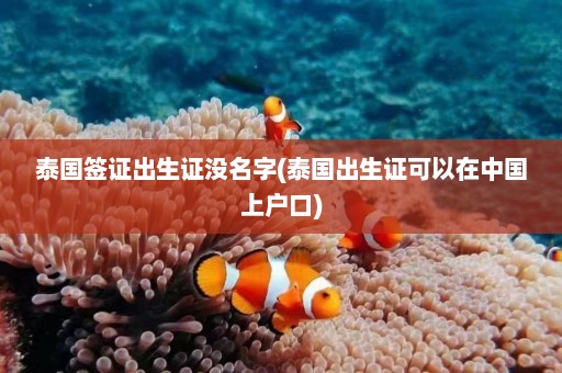 泰国签证出生证没名字(泰国出生证可以在中国上户口)