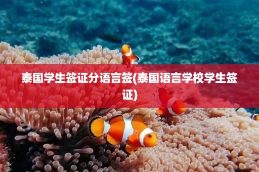 泰国学生签证分语言签(泰国语言学校学生签证)