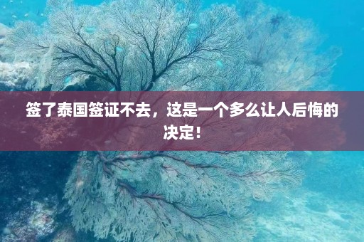 签了泰国签证不去，这是一个多么让人后悔的决定！