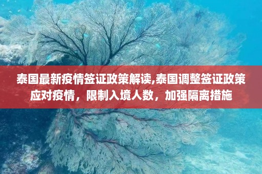 泰国最新疫情签证政策解读,泰国调整签证政策应对疫情，限制入境人数，加强隔离措施