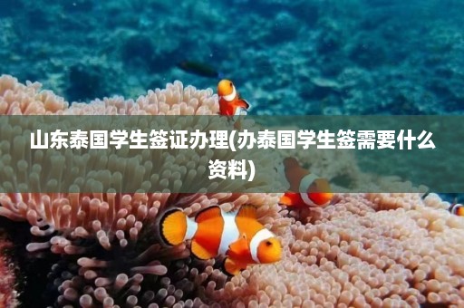 山东泰国学生签证办理(办泰国学生签需要什么资料)