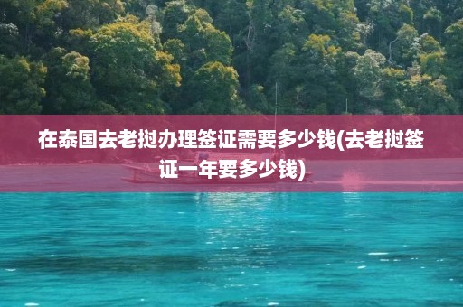 在泰国去老挝办理签证需要多少钱(去老挝签证一年要多少钱)