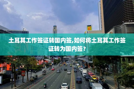 土耳其工作签证转国内签,如何将土耳其工作签证转为国内签？  第1张