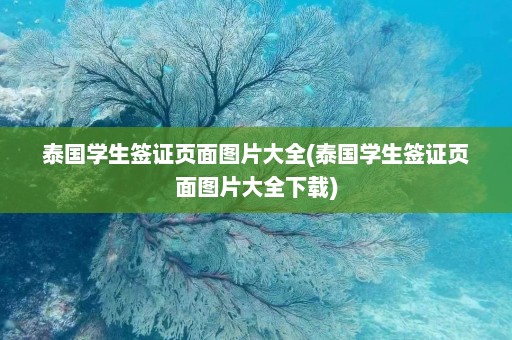 泰国学生签证页面图片大全(泰国学生签证页面图片大全下载)