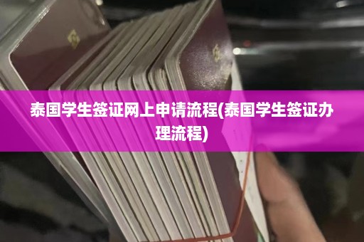 泰国学生签证网上申请流程(泰国学生签证办理流程)  第1张