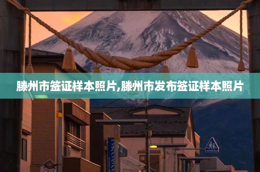 滕州市签证样本照片,滕州市发布签证样本照片