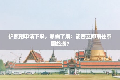 护照刚申请下来，急需了解：能否立即前往泰国旅游？  第1张